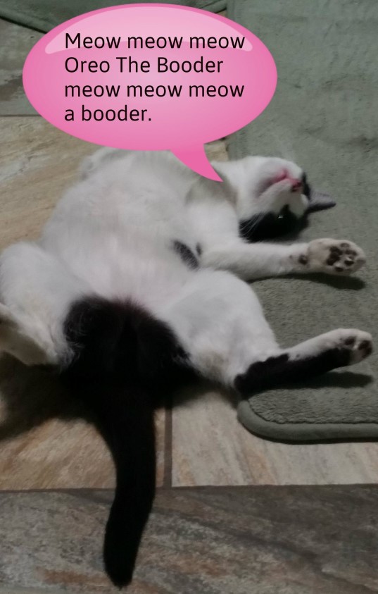 Oreo D Booder
